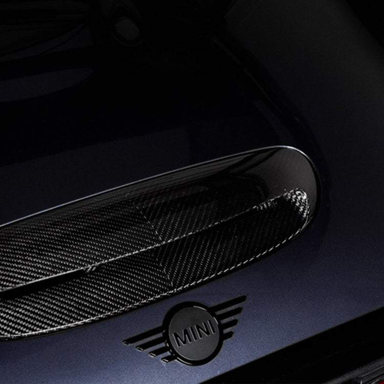 Race haus Intake Pipe Eventuri Mini B48 Carbon Intake System (Jcw Gp3 & Jcw Clubman)