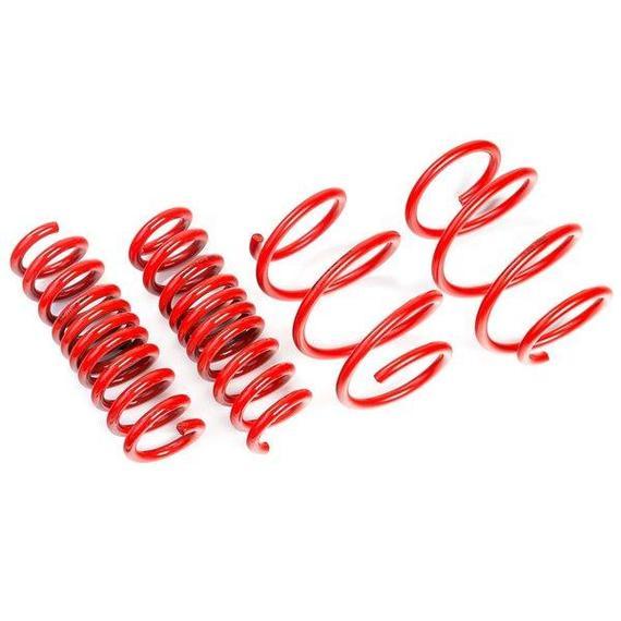 Race haus Springs AST BMW G80 M3 Suspension Lowering Springs
