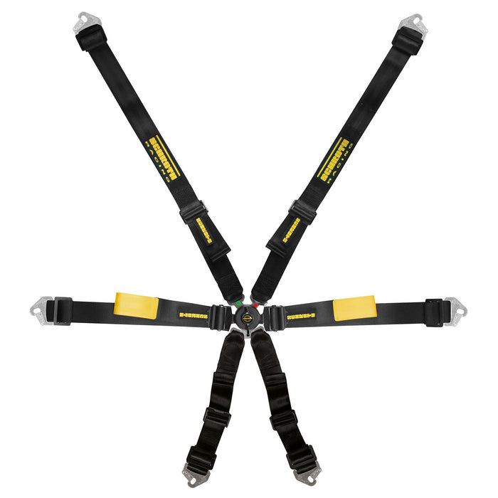 Schroth Enduro 6 Point Harness