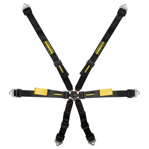 Schroth Enduro 6 Point Harness