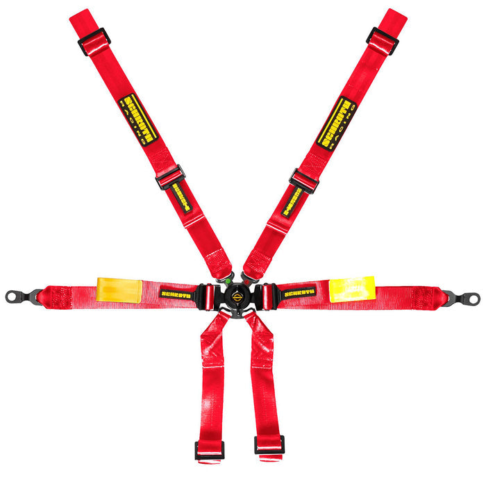 Schroth Enduro 6 Point Harness