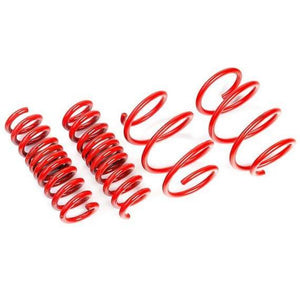Race haus Springs AST BMW G80 M3 Suspension Lowering Springs